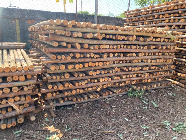 Madeira Bruta — Madeireira Pereira, foto 11
